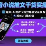 抖音小说推文混剪教程：AI图片特效轻松爆量，0粉丝新手可操作-微七七网-是一个专注于全域获客|流量矩阵化打法的团队！