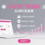 小红书广告投放0-1实战课：快速上手，避免无效消耗！-微七七网-是一个专注于全域获客|流量矩阵化打法的团队！