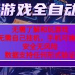2024游戏自动捡漏新玩法，独家零门槛操作，当天见效收益！-微七七网-是一个专注于全域获客|流量矩阵化打法的团队！
