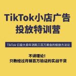 TikTok小店广告投放6天速成，突破投放瓶颈掌握月销百万实战技巧-微七七网-是一个专注于全域获客|流量矩阵化打法的团队！
