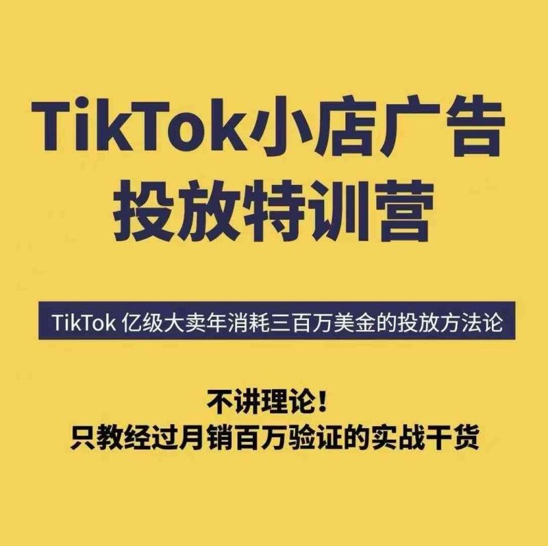 TikTok小店广告投放6天速成，突破投放瓶颈掌握月销百万实战技巧-微七七网-是一个专注于全域获客|流量矩阵化打法的团队！