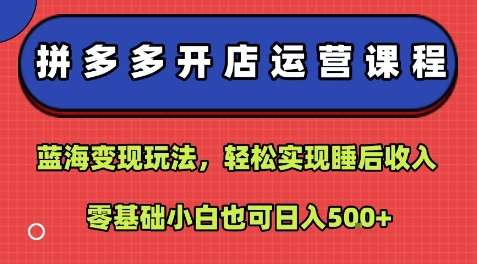 拼多多开店运营课：零基础蓝海变现教程，轻松日赚500元！-微七七网-是一个专注于全域获客|流量矩阵化打法的团队！