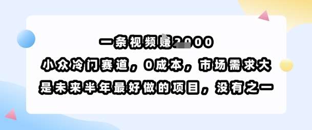 小众冷门赛道，0成本视频创业，月入1K+！市场需求大，未来半年最佳副业选择-微七七网-是一个专注于全域获客|流量矩阵化打法的团队！