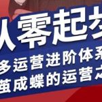 拼多多运营进阶系统课：从零起步掌握破茧成蝶的运营技巧-微七七网-是一个专注于全域获客|流量矩阵化打法的团队！