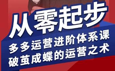拼多多运营进阶系统课：从零起步掌握破茧成蝶的运营技巧-微七七网-是一个专注于全域获客|流量矩阵化打法的团队！