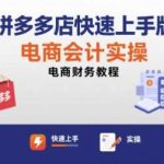 拼多多电商会计实操教程：零基础快速上手，从入门到精通！-微七七网-是一个专注于全域获客|流量矩阵化打法的团队！