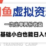 闲鱼虚拟资料变现新玩法：信息差项目双收益，无需囤货可矩阵，零基础日入多张-微七七网-是一个专注于全域获客|流量矩阵化打法的团队！