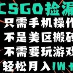 CSGO自动捡漏独家玩法，新手零基础月入1W+实战教程-微七七网-是一个专注于全域获客|流量矩阵化打法的团队！