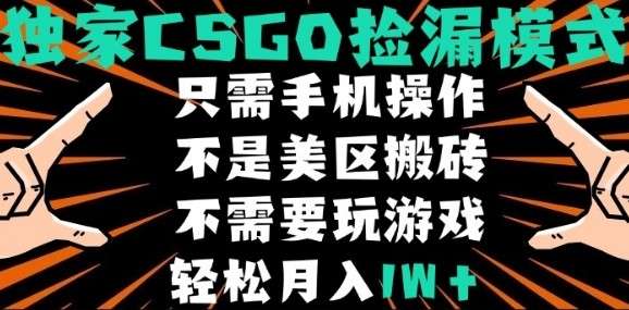 CSGO自动捡漏独家玩法，新手零基础月入1W+实战教程-微七七网-是一个专注于全域获客|流量矩阵化打法的团队！