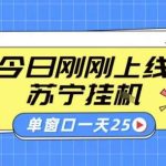 苏宁全自动采集挂G项目：稳定批量操作单窗口收益30+，教程揭秘-微七七网-是一个专注于全域获客|流量矩阵化打法的团队！