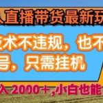 淘宝无人直播不违规玩法：全自动挂机，日入2000稳定收益技术揭秘-微七七网-是一个专注于全域获客|流量矩阵化打法的团队！