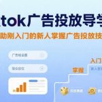 TikTok广告投放新手教程：快速掌握广告投放技巧-微七七网-是一个专注于全域获客|流量矩阵化打法的团队！
