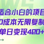 小白0成本副业项目：日赚400+可复制，新手轻松上手实战教程-微七七网-是一个专注于全域获客|流量矩阵化打法的团队！