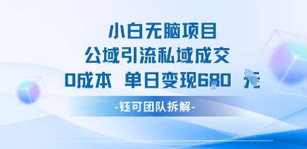 新手如何公域引流私域成交？0成本项目单日变现680元！-微七七网-是一个专注于全域获客|流量矩阵化打法的团队！