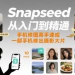 Snapseed修图教程：从入门到精通，手机轻松修出摄影大片！-微七七网-是一个专注于全域获客|流量矩阵化打法的团队！