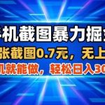 手机截图赚钱实操攻略：一部手机日入300+，零门槛快速上手-微七七网-是一个专注于全域获客|流量矩阵化打法的团队！