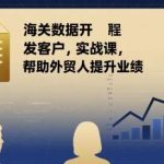 学会用海关数据开发客户：外贸人提升业绩的实战必修课-微七七网-是一个专注于全域获客|流量矩阵化打法的团队！