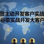 外贸谷歌开发客户实战课：高效开发大客户技巧与策略-微七七网-是一个专注于全域获客|流量矩阵化打法的团队！