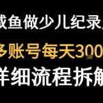 闲鱼卖纪录片实操：单笔3元日赚几十单，月入千元攻略！-微七七网-是一个专注于全域获客|流量矩阵化打法的团队！