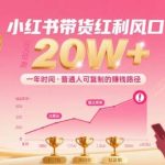 小红书带货年入20万实操指南：抢占红利期，轻松赚取第一桶金！-微七七网-是一个专注于全域获客|流量矩阵化打法的团队！