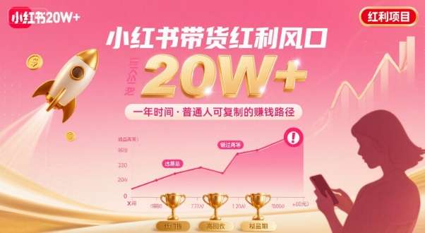 小红书带货年入20万实操指南：抢占红利期，轻松赚取第一桶金！-微七七网-是一个专注于全域获客|流量矩阵化打法的团队！