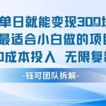小白0成本变现项目：单日见效，可无限复制轻松赚钱-微七七网-是一个专注于全域获客|流量矩阵化打法的团队！