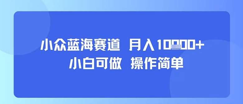 小众蓝海副业，新手轻松上手！每天30分钟，稳定月入过万-微七七网-是一个专注于全域获客|流量矩阵化打法的团队！