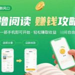 零撸阅读新风口来袭：无门槛手机赚钱，日入50-300元揭秘-微七七网-是一个专注于全域获客|流量矩阵化打法的团队！