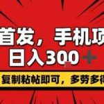 手机赚钱项目日入300+，复制粘贴操作，支持矩阵多开，新手小白轻松上手-微七七网-是一个专注于全域获客|流量矩阵化打法的团队！