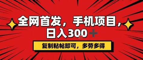 手机赚钱项目日入300+，复制粘贴操作，支持矩阵多开，新手小白轻松上手-微七七网-是一个专注于全域获客|流量矩阵化打法的团队！
