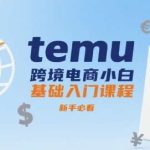 TEMU跨境电商从零开始：新手快速入门必修课-微七七网-是一个专注于全域获客|流量矩阵化打法的团队！