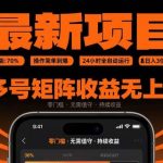 全自动挂机项目：24小时躺赚日入300+，多号矩阵收益倍增，新手简单操作-微七七网-是一个专注于全域获客|流量矩阵化打法的团队！