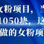 私域女粉变现项目，当天收益突破1000，简单易上手可放大操作-微七七网-是一个专注于全域获客|流量矩阵化打法的团队！