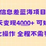 信息差蓝海项目当天变现，自动化矩阵操作，全程零人工高效盈利！-微七七网-是一个专注于全域获客|流量矩阵化打法的团队！