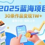 2025蓝海项目：30个视频月入过万，零基础小白轻松上手变现！-微七七网-是一个专注于全域获客|流量矩阵化打法的团队！