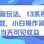 书单号新玩法：13条视频赚5万，小白轻松上手，当天即可见收益！-微七七网-是一个专注于全域获客|流量矩阵化打法的团队！