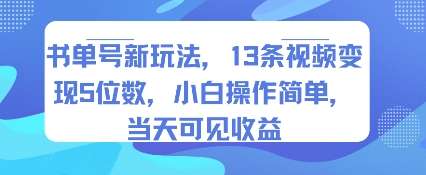 书单号新玩法：13条视频赚5万，小白轻松上手，当天即可见收益！-微七七网-是一个专注于全域获客|流量矩阵化打法的团队！