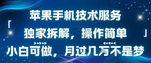 苹果手机拆解技术教学，操作简单易上手，新手月入过万轻松实现！-微七七网-是一个专注于全域获客|流量矩阵化打法的团队！