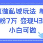 揭秘AI私域爆款技巧：单条视频吸粉7W，变现4300元，小白可操作！-微七七网-是一个专注于全域获客|流量矩阵化打法的团队！