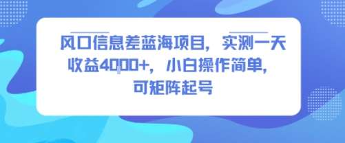 风口信息差蓝海项目实测：小白日赚4000+，矩阵起号简单易操作！-微七七网-是一个专注于全域获客|流量矩阵化打法的团队！