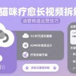 全面教你制作高质量猫咪疗愈长视频并运营YouTube频道-微七七网-是一个专注于全域获客|流量矩阵化打法的团队！