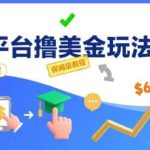 国外平台轻松赚美金：零基础月入6000+的详细步骤教程-微七七网-是一个专注于全域获客|流量矩阵化打法的团队！