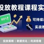 AD投放实战课：提升广告ROI300%的可持续盈利策略教程-微七七网-是一个专注于全域获客|流量矩阵化打法的团队！
