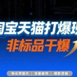 淘宝天猫第72期打爆班：非标品快速起爆实操技术系统课程-微七七网-是一个专注于全域获客|流量矩阵化打法的团队！