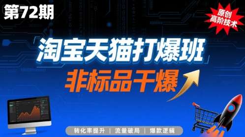 淘宝天猫第72期打爆班：非标品快速起爆实操技术系统课程-微七七网-是一个专注于全域获客|流量矩阵化打法的团队！