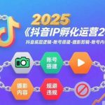 2025抖音IP孵化运营指南：从底层逻辑到内容创作与违规规避-微七七网-是一个专注于全域获客|流量矩阵化打法的团队！