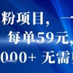 抖音男粉变现项目：一部手机实操，无需剪辑，每单59元当天轻松赚1000+-微七七网-是一个专注于全域获客|流量矩阵化打法的团队！