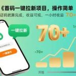 首码一键拉新项目揭秘：接验证码轻松操作，日赚数百高收益！-微七七网-是一个专注于全域获客|流量矩阵化打法的团队！