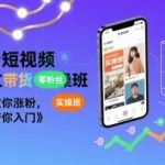 抖音AI图文带货实操班：零基础速成，手把手教你涨粉变现-微七七网-是一个专注于全域获客|流量矩阵化打法的团队！