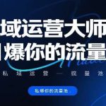 掌握私域运营实战技巧，激活流量池实现高效转化-微七七网-是一个专注于全域获客|流量矩阵化打法的团队！